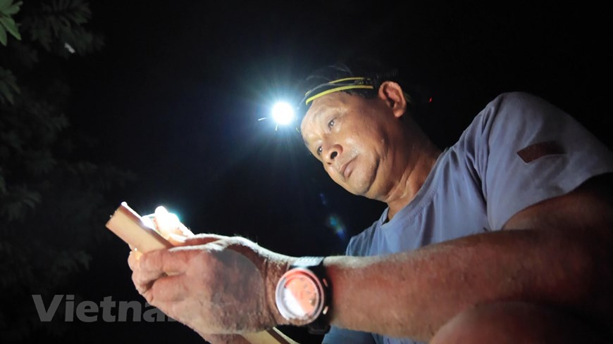 L'une des principales actions menées est le déplacement des nids installés dans des lieux peu sûrs par la menace de braconnage et les conditions naturelles défavorables. La localisation des nids est réalisée en pleine nuit, et les œufs doivent être déplacés vers les couveuses six heures au maximum après la ponte. Le sexe des petites tortues sera déterminé par la température d'incubation. On estime que sur 100.000 petites tortues qui naissent, une seule parviendra à l'âge adulte. Les produits dérivés des tortues, dont les œufs, sont interdits de circulation. Pourtant, ils sont toujours attractifs pour les braconniers car ceux-ci peuvent en tirer un bon prix. Photo: VietnamPlus