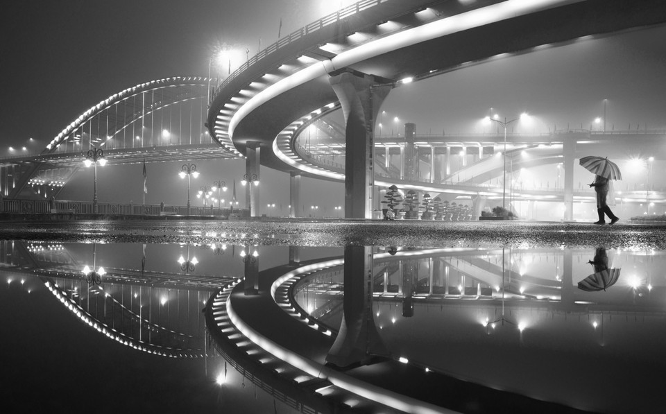 "Nét vẽ của cây cầu" (Sihouette du pont) de Giang Son Dong remporte la médaille d'or du DYPA