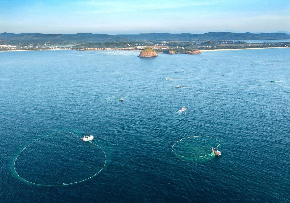 La saison de pêche aux anchois va de mai à août. Photo: VNA