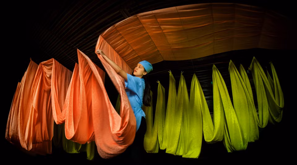 "Silk size" de Nguyen Ba Hao remporte la médaille de bronze de l'ISF