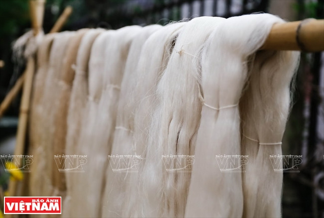 Des fibres de soie présentées à l’exposition.
