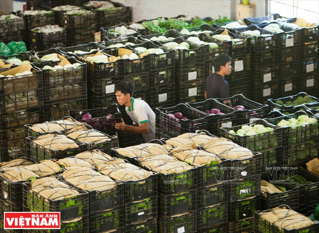 Entrepôt de légumes bio avant l’écoulement.