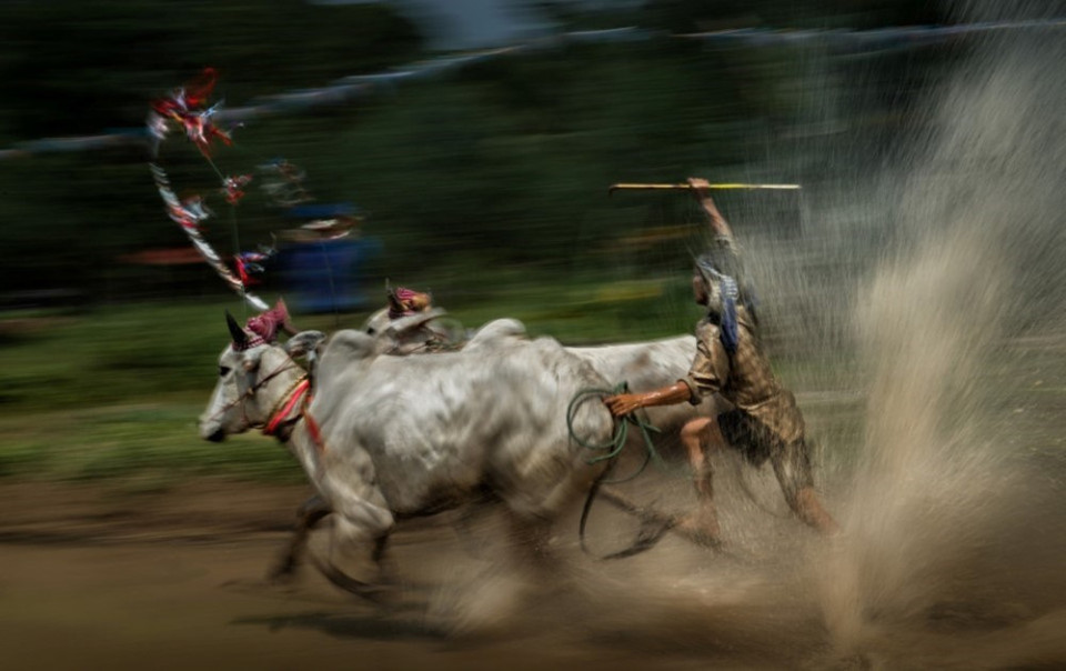 Le Prix photographique Heritage 2018 a vu la participation de nombreux photographes vietnamiens et étrangers. L’œuvre "Về đích" de Nguyen Ngoc Hoa exprime un moment impressionnant lors du festival de course de bœufs des Khmers.