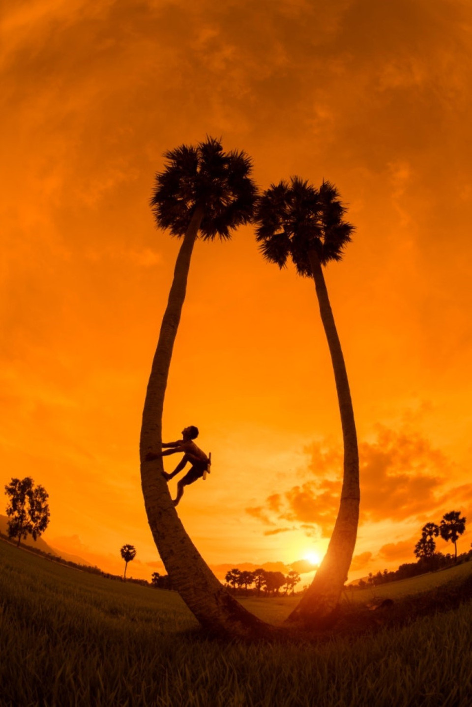 L’œuvre "Con kien leo cay" (La fourmi grimpe à l'arbre) de Nguyen Ngoc Hoa.