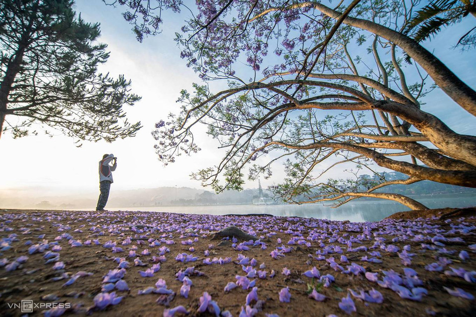 Un visiteur immortalise cette beauté fugace.