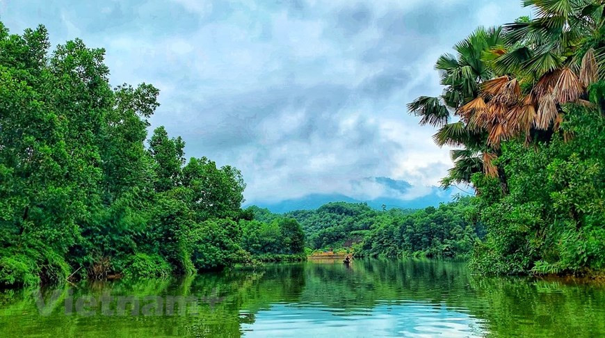 S'étendant sur 410 hectares, le lagon de Vân Hôi comprend plus de 40 îlots où sont cultivés de nombreux vieux théiers de grande valeur.