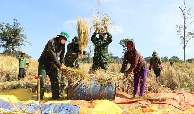Malgré le travail pénible, des soldats et paysans sont très enthousiastes. Photo: VNA