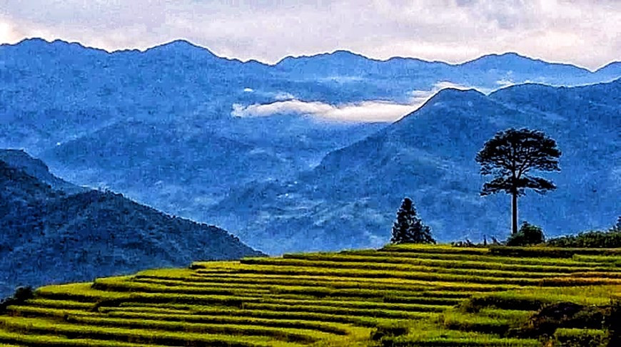 Une fois sur place, vous n’avez qu’à profiter de la beauté des paysages et admirer les nuages blancs contraster avec le ciel bleu profond, le vert des forêts sur les montagnes et les rizières dorées. Perchée à 2.000 m d'altitude, chaque année lorsque le riz mûrit, la région se réveille après un long sommeil. Sur la route, vous pouvez vous élever au-dessus des nuages qui étaient auparavant suspendus bien plus bas, accrochés à un champ. La vie à Y Ty est tranquille toute l'année, même durant la période touristique de l'année. Tout ce dont vous avez besoin pour profiter des paysages grandioses du Nord-Ouest est un moto. Il est bien entendu nécessaire ces temps-ci de s’équiper de désinfectant pour les mains et de masques pour le visage. Photo: Vietnamplus
