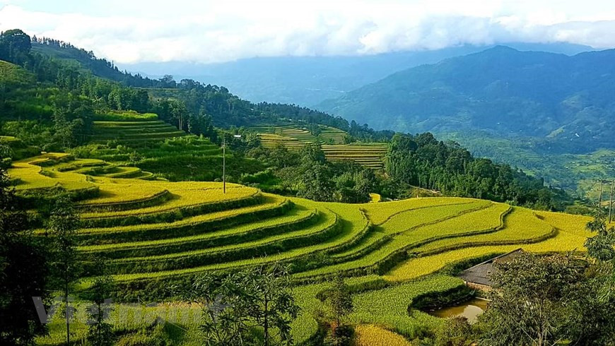 Hoàng Su Phi est un district de la province montagneuse de Hà Giang (Nord-Ouest). Couvrant environ 64.000 ha, cette localité vit de l’agriculture. En automne et en octobre notamment, elle vous offre de belles scènes de paysages. Les rizières en terrasses jaunissent, annonçant l’arrivée de la moisson. Pour le district de Hoàng Su Phi, ce sont ses rizières qui font la réputation de la région et forment des terrasses empilées à flanc de coteau. Les rizières en terrasses apportent non seulement la prospérité à la population locale, mais créent également une belle image de la nature lors de la saison du riz. Photo: Vietnamplus