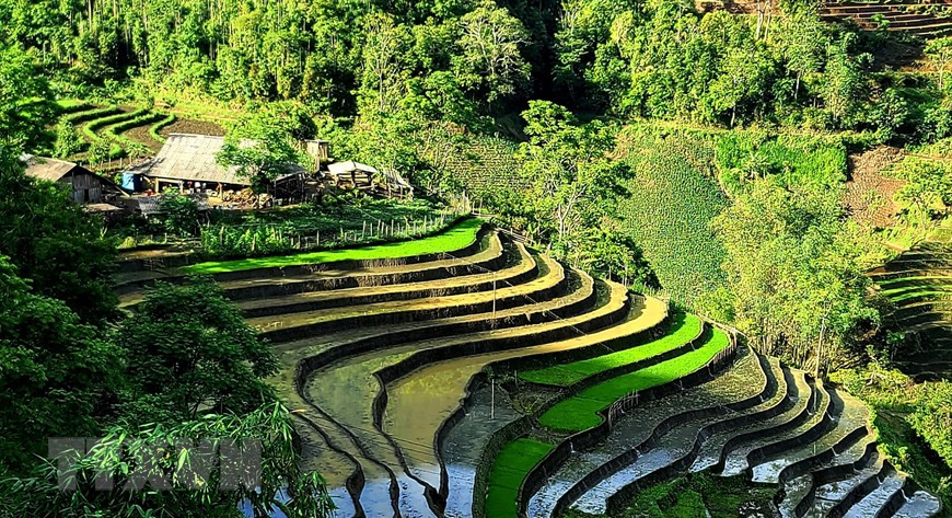 Avec une hauteur moyenne de plus de 2.000 mètres au-dessus du niveau de la mer, en arrivant à Y Ty, les visiteurs peuvent admirer la perspective vaste et séduisante des rizières en terrasses. Photo: Vietnam+