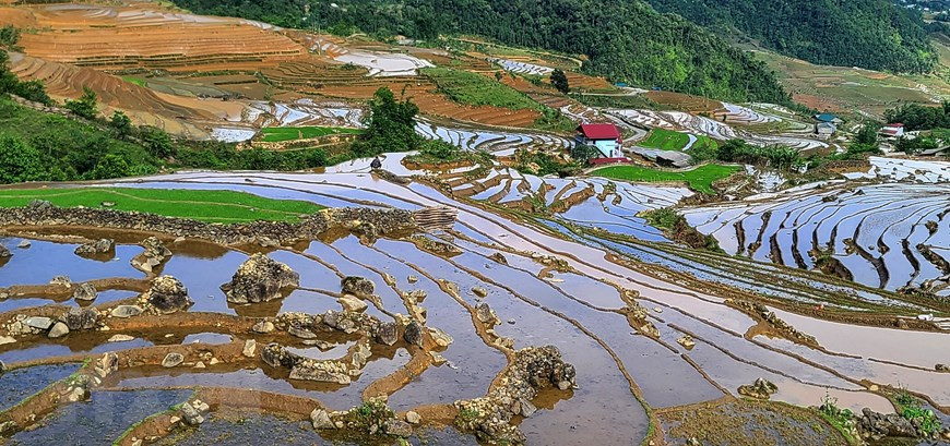 La «saison de la mise en eau des rizières» dure de mai à juin. Alors que les agriculteurs locaux commencent à cultiver du riz, les visiteurs sont traités à la vue d'étangs scintillants. Photo: Vietnam+