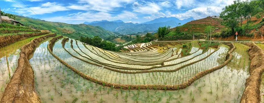 Le charme séduisant des rizières en terrasses attend les voyageurs à explorer. Photo:Vietnam+