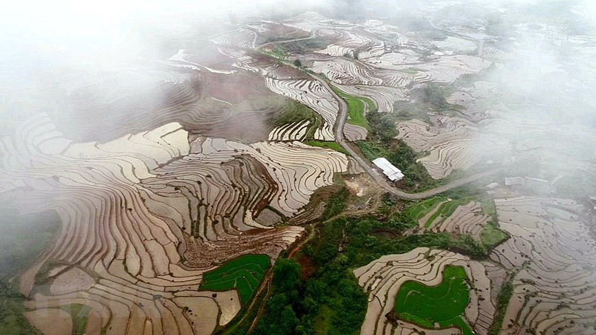 La commune frontalière d’Y Ty, district de Bat Xat, est à environ 70 km de la ville de Lao Cai, province montagneuse septentrionale du même nom. Photo:VNA