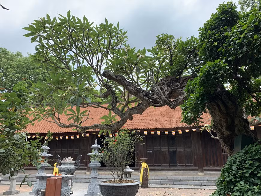 La pagode Vinh Nghiêm, qui a pour autre nom Chuc Thanh, a été construite au XIe siècle, sous la dynastie des Ly (1010-1028).