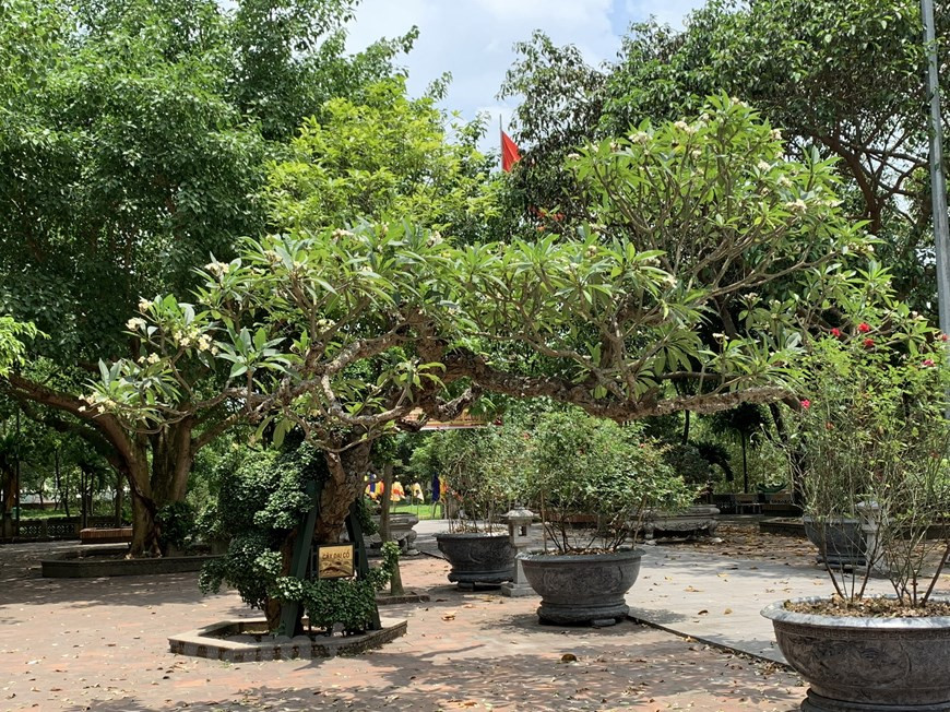 La conservation et la mise en valeur de l’ensemble de ces gravures liturgiques sur bois sont importantes, d’autant que le passage des ans n’a eu aucune incidence sur elles. 