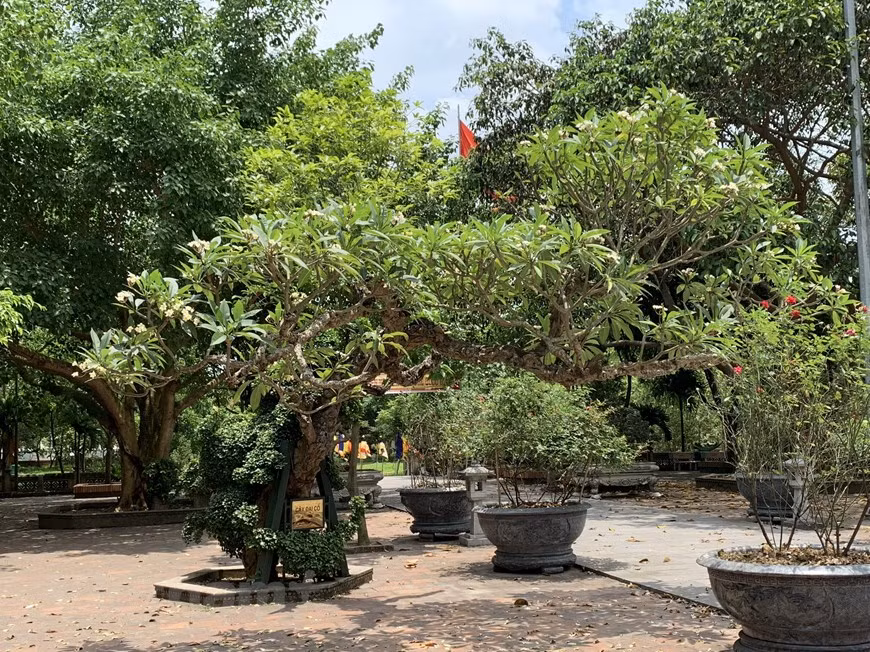 La conservation et la mise en valeur de l’ensemble de ces gravures liturgiques sur bois sont importantes, d’autant que le passage des ans n’a eu aucune incidence sur elles. 