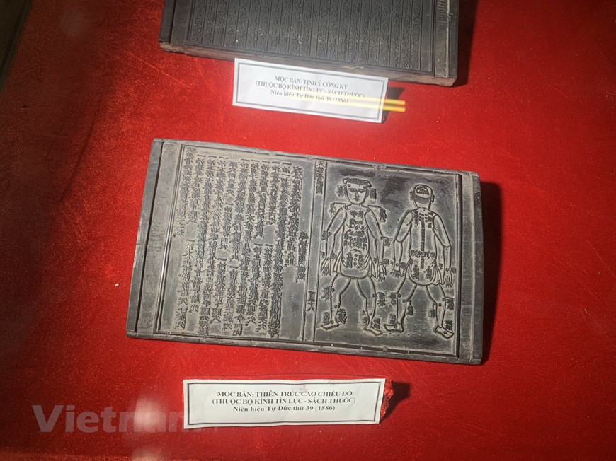 Elles ont permis aux chercheurs de lever le voile sur certains mystères du passé, comme l'histoire du bouddhisme vietnamien, les sciences et les techniques, la philosophie, la sociologie et la linguistique.