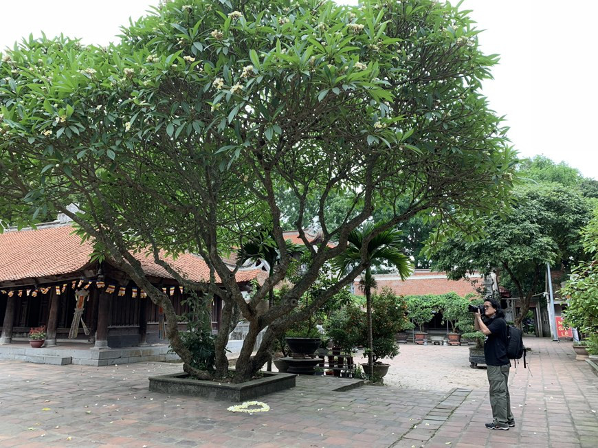 L'ouvrage couvre une superficie d'un hectare et occupe une position importante au croisement des deux rivières Thuong et Luc Nam.