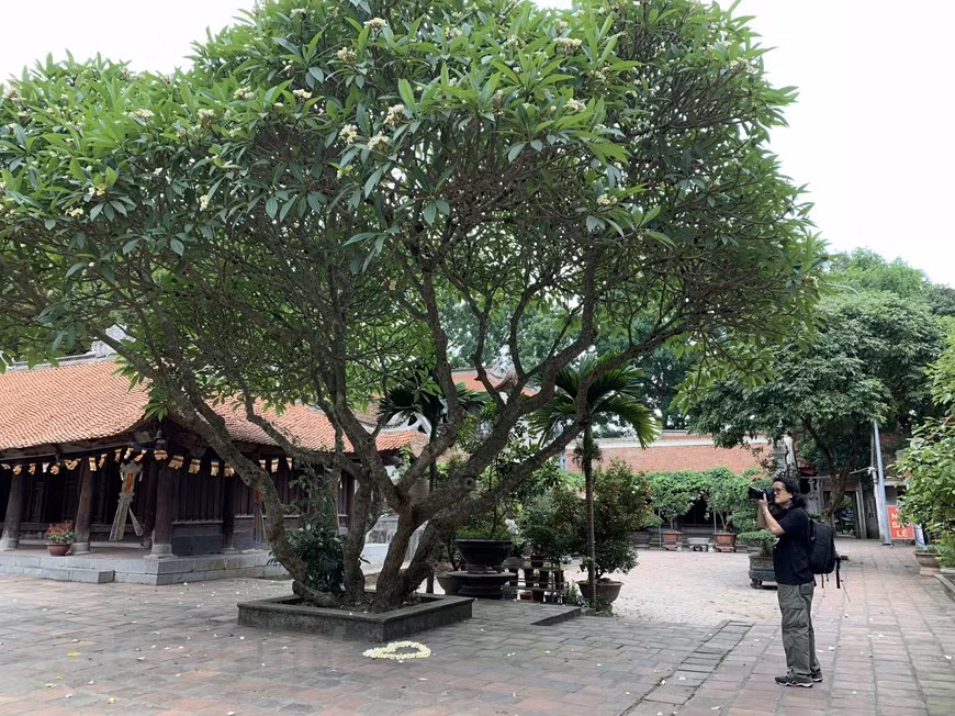 L'ouvrage couvre une superficie d'un hectare et occupe une position importante au croisement des deux rivières Thuong et Luc Nam.