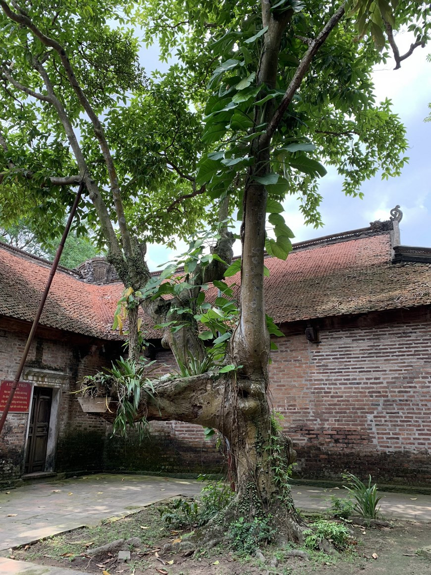 …de variétés de plantes uniques…