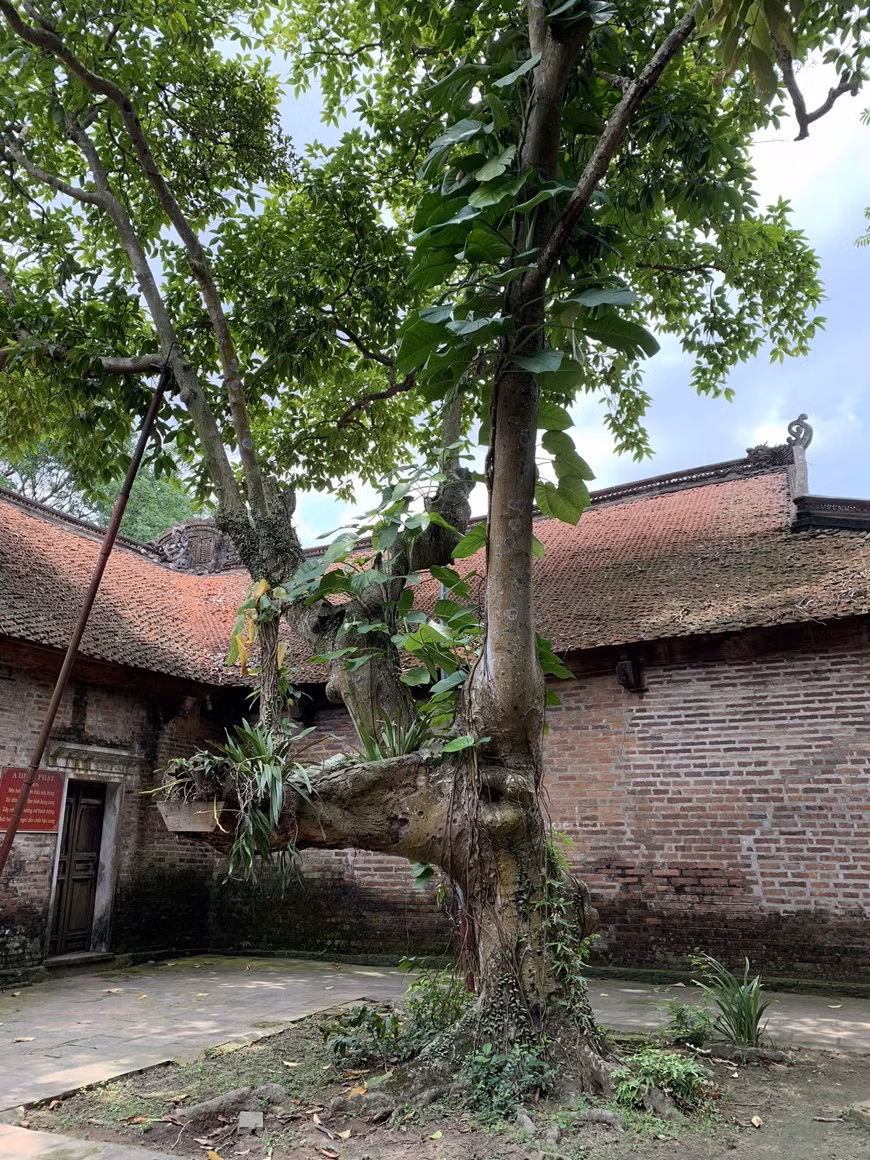 …de variétés de plantes uniques…