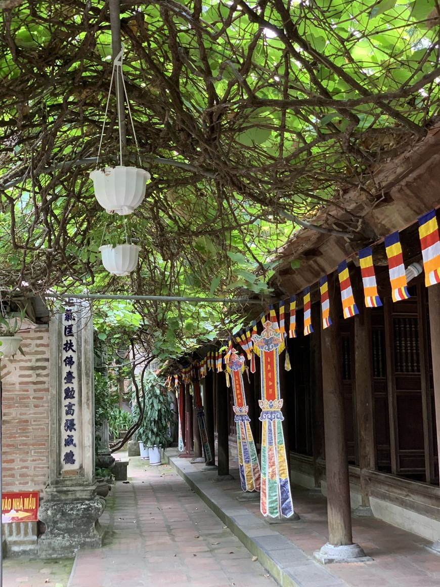 En 1964, la pagode Vinh Nghiem a été classée site national et est devenue site national spécial en 2015. Sa fête a été inscrite au patrimoine culturel immatériel national en 2013.