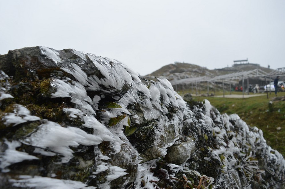  À 7h le 30 janvier, la température ici est descendu à -1,6°C.