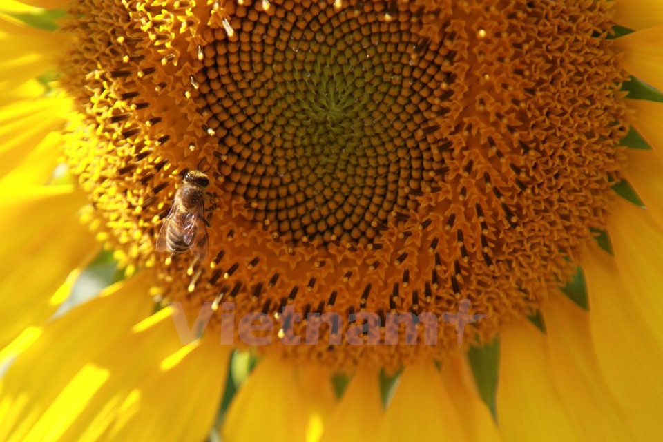 Actuellement, les visites sont gratuites.