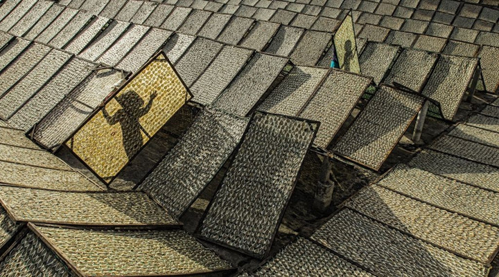  ​Séchage du poisson au soleil à Kiên Giang. Photo : Nguyen Lam. 