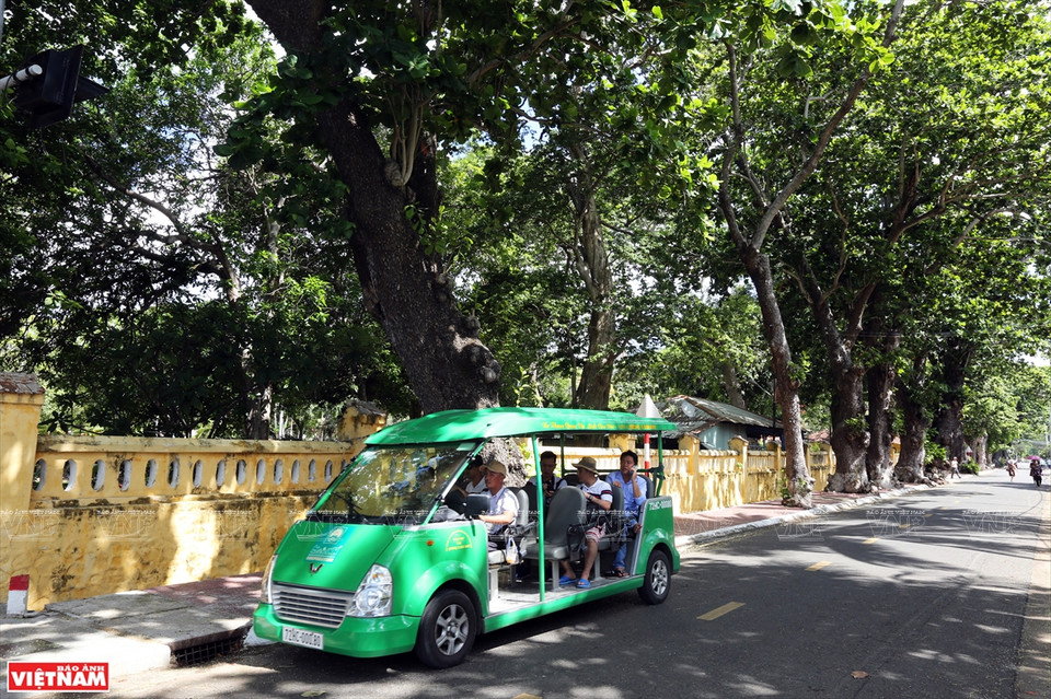 La canopée du badamier couvre une grande surface du palais Chua Dao - un site touristique de Côn Dao. Photo: VNP