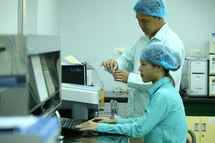 Le vaccin a été testé pour la première fois sur 50 souris en mai dernier, bien que le projet ait commencé en février dernier. Photo: VNA 