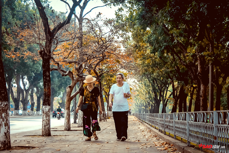 Une scène paisible à l'ombre des arbres à Hanoï.