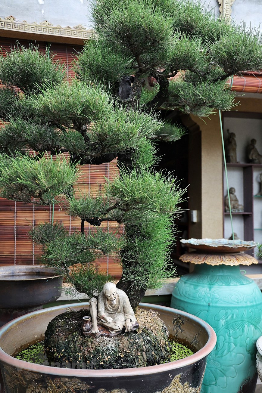 Tran Nam Tuoc a dit qu’il a abandonné ses études lors de la classe secondaire et a décidé de découvrir le pays. Au cours des années suivantes, il a voyagé dans toutes les villes et provinces du pays de forme de S. Chaque endroit où il a mis les pieds, il a juste travaillé jusqu'à ce qu'il ait assez d'argent pour aller ailleurs et a appris toutes les professions en cours de route. Il est revenu plus tard dans sa ville natale, Thai Binh, puis a étudié et fabriqué des produits en céramique pendant environ de un à deux ans. En 1996, il est venu dans le village de la céramique de Bat Trang pas loin de Hanoï. Photo: Vietnamplus