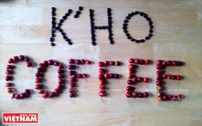 Le « K'Ho Café », une marque de café bio du Haut Plateau du Mont Lang Biang. 