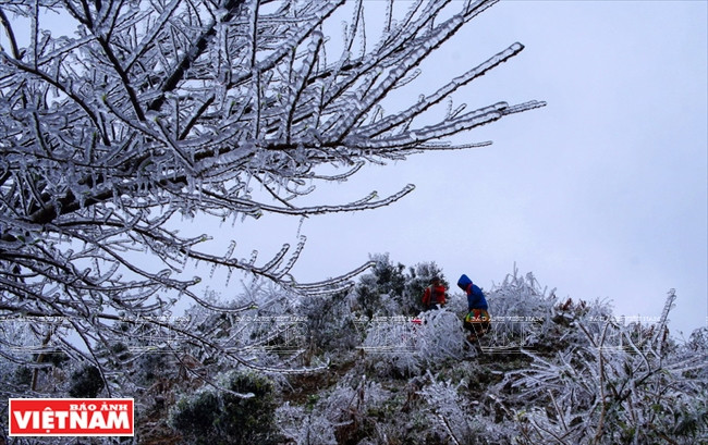 Début février 2018, le thermomètre est descendu en dessous de zéro. Les crêtes de la chaîne de Tà Xùa étaient couvertes de neige. Un phénomène climatique exceptionnel qui a attiré des milliers de curieux. 