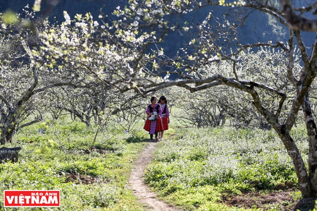 La vallée du village de Na Ka.