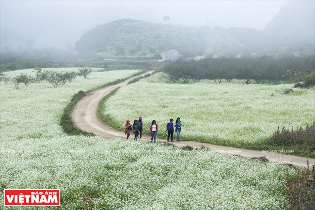 La piste conduisant au village de Ba Phach.