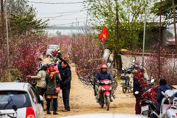 Les pêchers se vendent non seulement dans les jardins mais également aux marchés. 