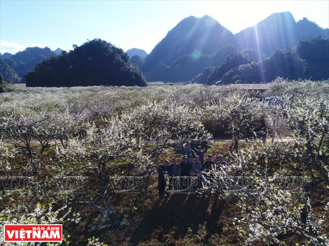 La vallée de pruniers de Na Ka fascine les photographes.