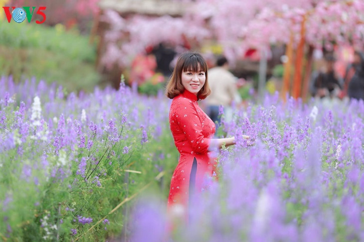 Pendant le Têt, les Vietnamiennes aiment se rendre dans les jardins de Nhât Tân à Hanoï et se faire photographier en ao dài.