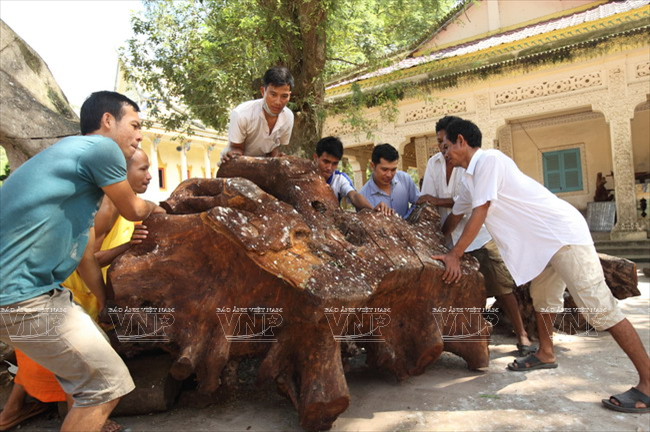 Les artisans de la pagode transforment des souches d'arbres en œuvres d'art authentiques. 