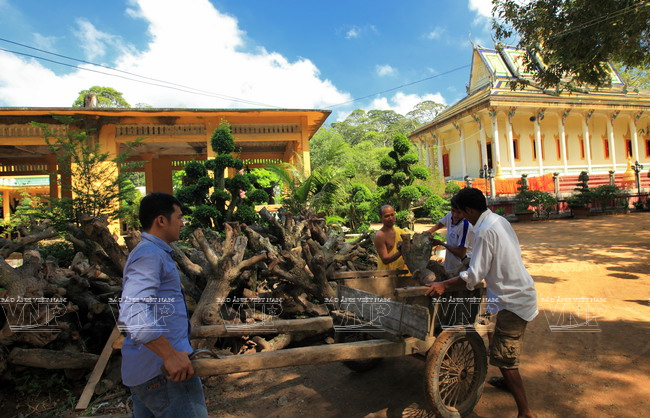 Le métier de sculpteur sur bois y est enseigné depuis plus de 12 ans. 