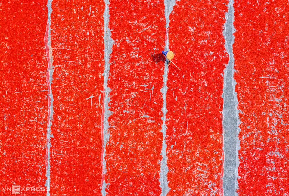 Séchage du piment à Trang Bang. Le piment séché est transformé en sel de piment, une spécialité de la province de Tay Ninh. 