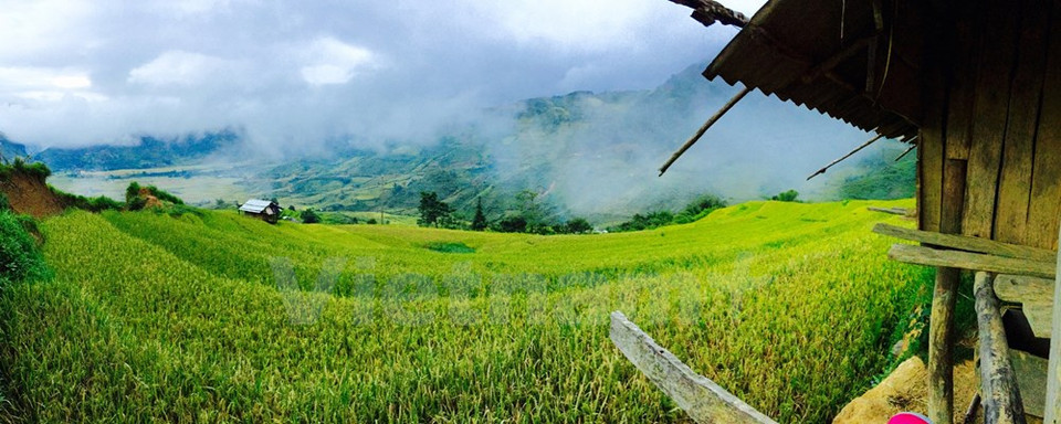 Mu Cang Chai est un district de la province de Yen Bai du Nord-Ouest du Vietnam, à environ 300 km au nord de Hanoi.