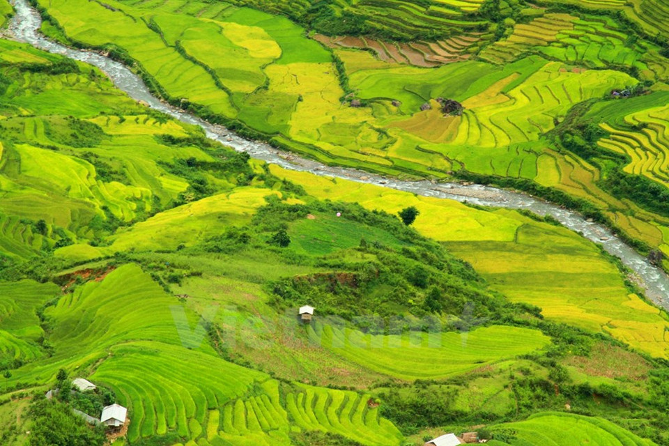 La semaine s'est achevée​ le 20 septembre.