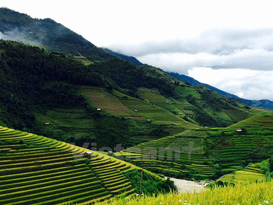 Les rizières en terrasse ​sont ​le résultat de l'adaptation des minorités ethniques aux conditions naturelles de leurs lieux de vie : les montagnes.