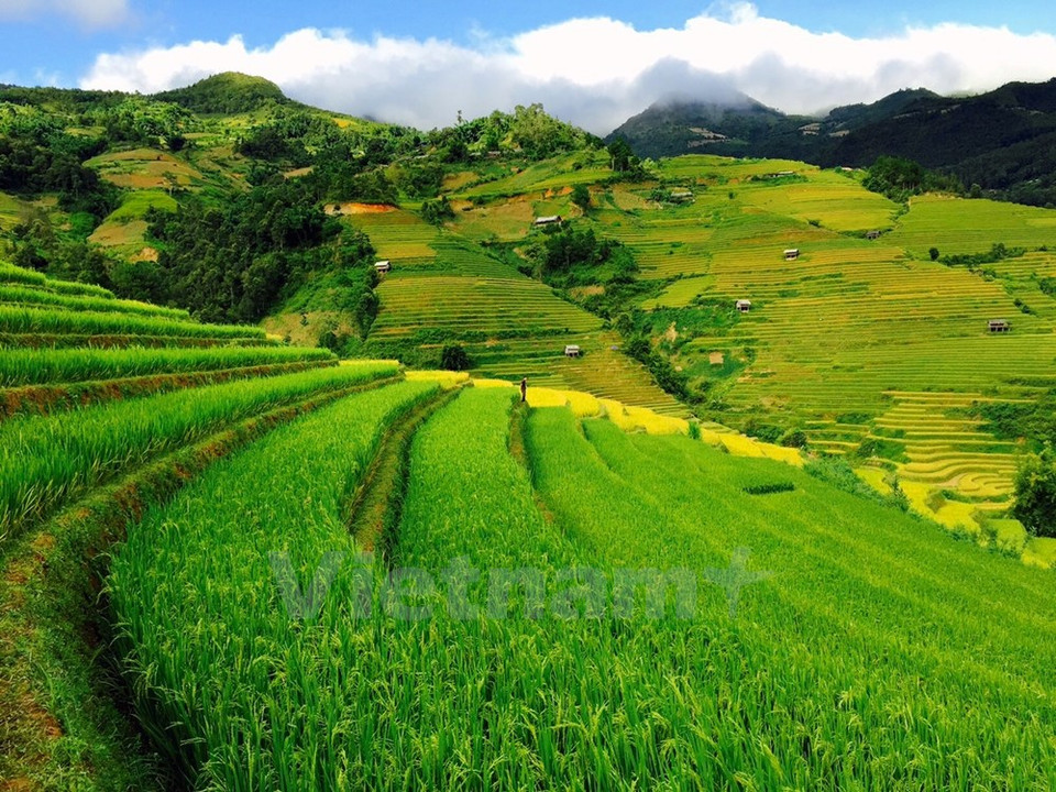 Un véritable spectacle pour les touristes et les photographes.
