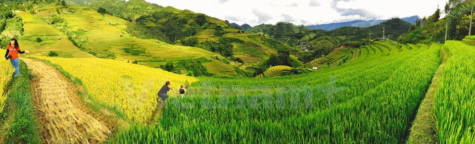 Des contrastes de couleurs saisissants.