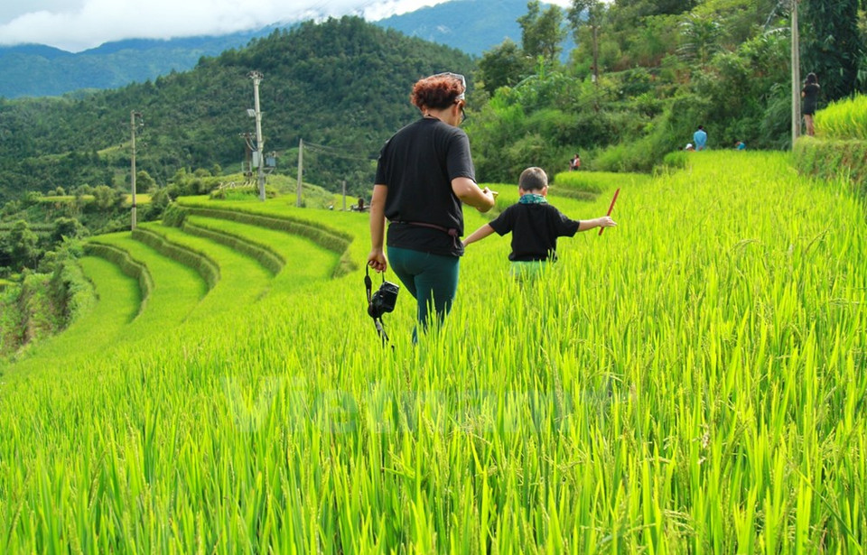 Cet évènement avait thème "Moisson d’or sur la montagne". 