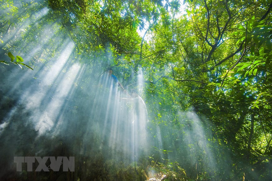La grotte Tra Tu comprend deux zones principales. Pour y aller, les touristes doivent traverser un sentier. Photo: VNA 